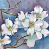 White Dogwoods Art Diamond Paintings