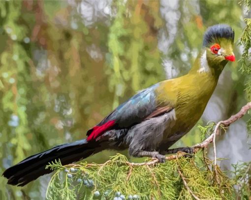 White Cheeked Turaco Diamond Paintings