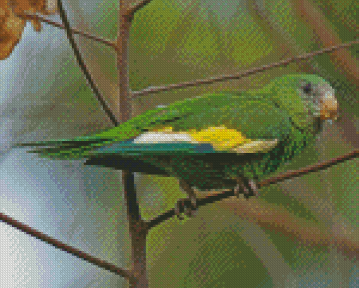 White Winged Parakeet Diamond Paintings