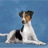 Aesthetic Smooth Fox Terrier Diamond Paintings