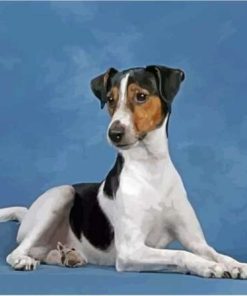 Aesthetic Smooth Fox Terrier Diamond Paintings