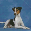 Aesthetic Smooth Fox Terrier Diamond Paintings