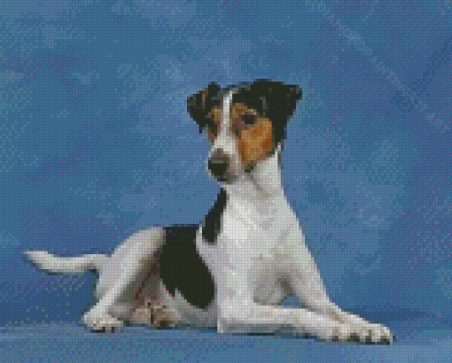 Aesthetic Smooth Fox Terrier Diamond Paintings