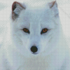 Aesthetic Polar Fox Art Diamond Paintings