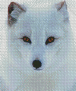 Aesthetic Polar Fox Art Diamond Paintings