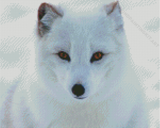 Aesthetic Polar Fox Art Diamond Paintings