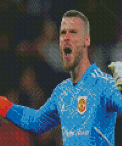 Aesthetic The Goalkeeper David De Gea Diamond Paintings