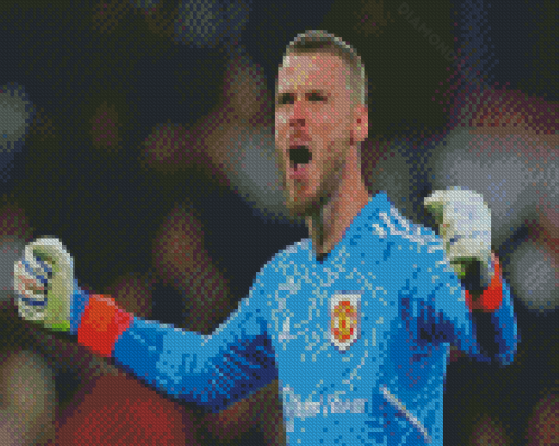 Aesthetic The Goalkeeper David De Gea Diamond Paintings