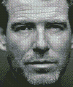 Black And White Pierce Brosnan Diamond Paintings