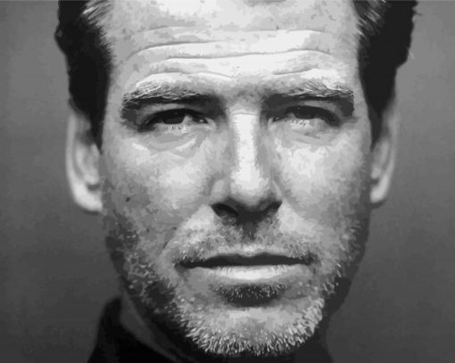 Black And White Pierce Brosnan Diamond Paintings