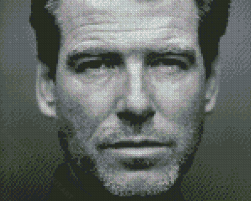 Black And White Pierce Brosnan Diamond Paintings