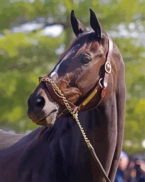 Close Up Zenyatta Racehorse Diamond Paintings