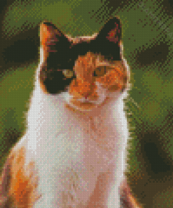 Cool Calico Cat Diamond Paintings