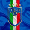 Cool Italy National Football Team Logo Diamond Paintings