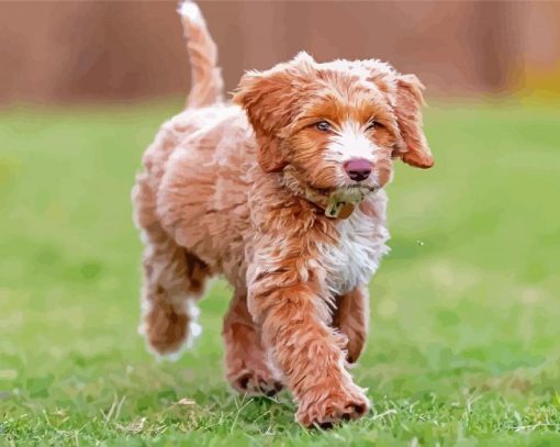 Cute Chocolate Labradoodle Diamond Paintings