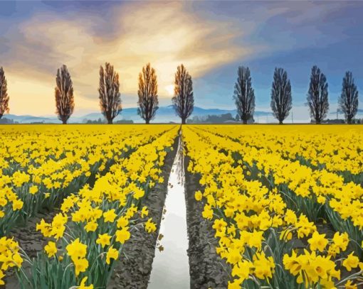 Daffodils Field Diamond Paintings