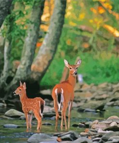 Doe And Fawn Diamond Paintings