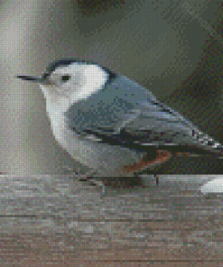 Grey And White Bird Diamond Paintings