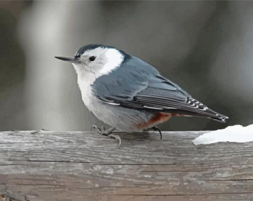 Grey And White Bird Diamond Paintings