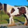 Gypsy Vanner Horse Diamond Paintings