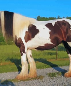 Gypsy Vanner Horse Diamond Paintings