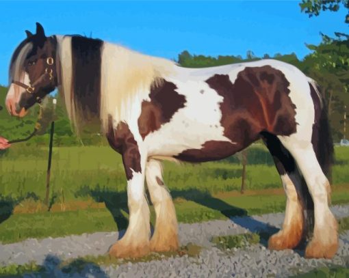 Gypsy Vanner Horse Diamond Paintings