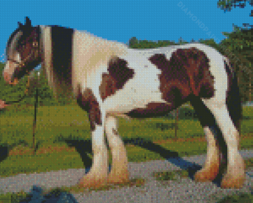 Gypsy Vanner Horse Diamond Paintings