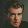 Handsome Pierce Brosnan Diamond Paintings