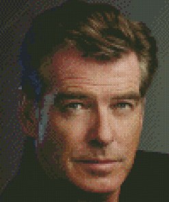 Handsome Pierce Brosnan Diamond Paintings