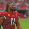 Larry Fitzgerald Diamond Paintings