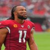 Larry Fitzgerald Diamond Paintings