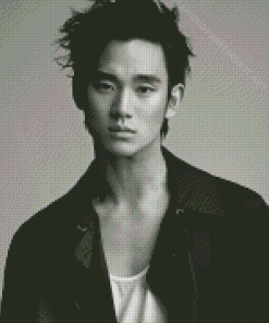 Monochrome Kim Soo Hyun Diamond Paintings