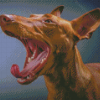 Pharaoh Hound With Open Mouth Diamond Paintings