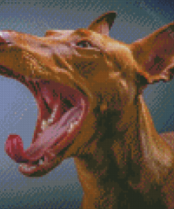 Pharaoh Hound With Open Mouth Diamond Paintings