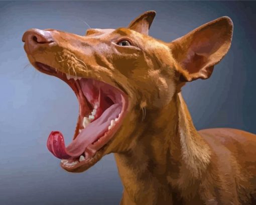 Pharaoh Hound With Open Mouth Diamond Paintings