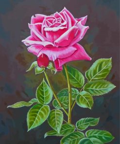 Pink English Rose Diamond Paintings