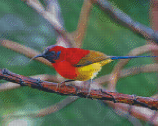 Red Sunbird Diamond Paintings