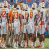 Tennessee Volunteers Team Diamond Paintings