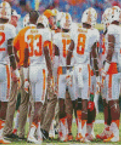 Tennessee Volunteers Team Diamond Paintings