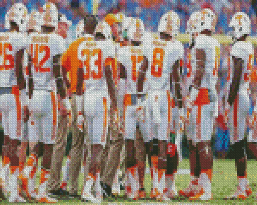 Tennessee Volunteers Team Diamond Paintings