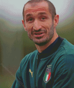 The Footballer Chiellini Giorgio Diamond Paintings