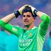 Thibaut Courtois Diamond Paintings