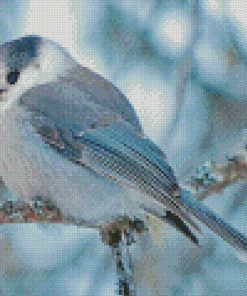 Whiskey Jack Canada Jay Diamond Paintings