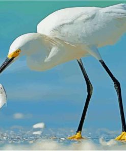 White Heron And Fish Diamond Paintings