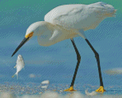 White Heron And Fish Diamond Paintings