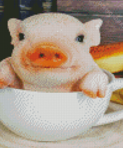 White Teacup Pig Diamond Paintings