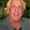 Wrestler Ric Flair Diamond Paintings