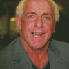 Wrestler Ric Flair Diamond Paintings