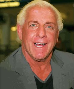 Wrestler Ric Flair Diamond Paintings