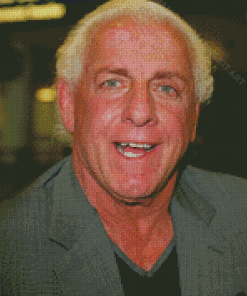 Wrestler Ric Flair Diamond Paintings